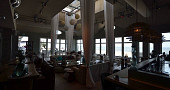Alexander Beach Club